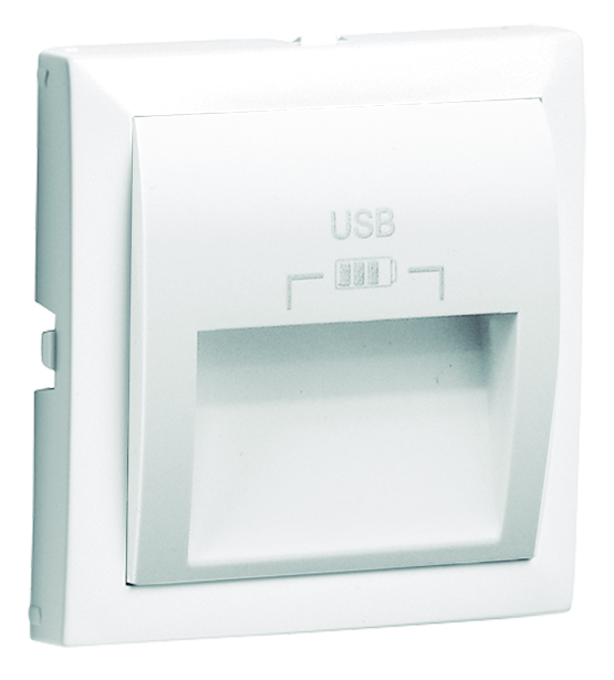 Enjoliveur pour Double Chargeur USB avec Sortie a 20º Type A