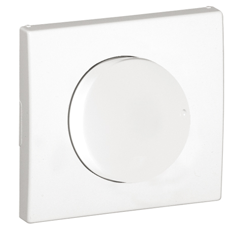 Cover Plate for Dimmer/Two-way Switch